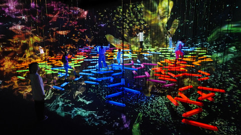 teamLab, Aerial Climbing through a Flock of Colored Birds, Courtesy teamLab Borderless, Jeddah (c) teamLab